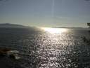 ./images/koeye/fitz-hugh/20180714/fitz-hugh20180714_171502.jpg