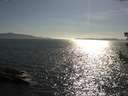 ./images/koeye/fitz-hugh/20180714/fitz-hugh20180714_174502.jpg