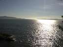./images/koeye/fitz-hugh/20180714/fitz-hugh20180714_175001.jpg