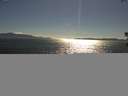 ./images/koeye/fitz-hugh/20180715/fitz-hugh20180715_172501.jpg