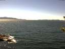 ./images/koeye/fitz-hugh/20180716/fitz-hugh20180716_143502.jpg