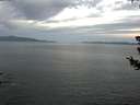 ./images/koeye/fitz-hugh/20180717/fitz-hugh20180717_052501.jpg