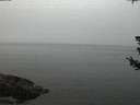 ./images/koeye/fitz-hugh/20180717/fitz-hugh20180717_222502.jpg