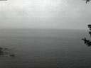 ./images/koeye/fitz-hugh/20180718/fitz-hugh20180718_045002.jpg