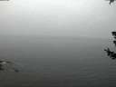 ./images/koeye/fitz-hugh/20180718/fitz-hugh20180718_045502.jpg