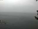 ./images/koeye/fitz-hugh/20180718/fitz-hugh20180718_051502.jpg