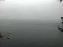 ./images/koeye/fitz-hugh/20180718/fitz-hugh20180718_052002.jpg