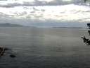 ./images/koeye/fitz-hugh/20180719/fitz-hugh20180719_064501.jpg