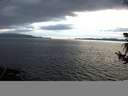 ./images/koeye/fitz-hugh/20180719/fitz-hugh20180719_221002.jpg
