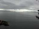 ./images/koeye/fitz-hugh/20180720/fitz-hugh20180720_095501.jpg