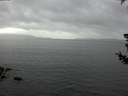 ./images/koeye/fitz-hugh/20180720/fitz-hugh20180720_183501.jpg