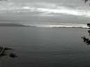 ./images/koeye/fitz-hugh/20180720/fitz-hugh20180720_222001.jpg
