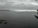 ./images/koeye/fitz-hugh/20180720/fitz-hugh20180720_222501.jpg