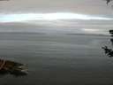 ./images/koeye/fitz-hugh/20180721/fitz-hugh20180721_065001.jpg