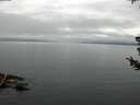 ./images/koeye/fitz-hugh/20180721/fitz-hugh20180721_085501.jpg