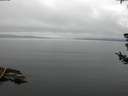 ./images/koeye/fitz-hugh/20180721/fitz-hugh20180721_091501.jpg