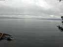 ./images/koeye/fitz-hugh/20180721/fitz-hugh20180721_092501.jpg