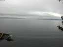 ./images/koeye/fitz-hugh/20180721/fitz-hugh20180721_094501.jpg
