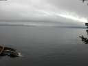 ./images/koeye/fitz-hugh/20180721/fitz-hugh20180721_095501.jpg