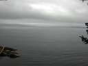 ./images/koeye/fitz-hugh/20180721/fitz-hugh20180721_103502.jpg