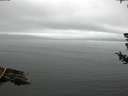 ./images/koeye/fitz-hugh/20180721/fitz-hugh20180721_104502.jpg