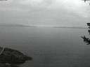 ./images/koeye/fitz-hugh/20180722/fitz-hugh20180722_045502.jpg