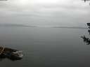 ./images/koeye/fitz-hugh/20180722/fitz-hugh20180722_075502.jpg
