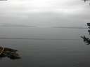 ./images/koeye/fitz-hugh/20180722/fitz-hugh20180722_084001.jpg