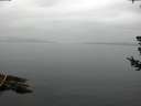 ./images/koeye/fitz-hugh/20180722/fitz-hugh20180722_084501.jpg
