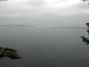 ./images/koeye/fitz-hugh/20180722/fitz-hugh20180722_085001.jpg