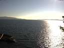 ./images/koeye/fitz-hugh/20180722/fitz-hugh20180722_183501.jpg