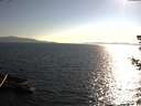 ./images/koeye/fitz-hugh/20180722/fitz-hugh20180722_184001.jpg
