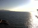 ./images/koeye/fitz-hugh/20180722/fitz-hugh20180722_185501.jpg
