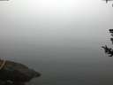 ./images/koeye/fitz-hugh/20180723/fitz-hugh20180723_054501.jpg