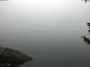./images/koeye/fitz-hugh/20180723/fitz-hugh20180723_055501.jpg