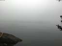 ./images/koeye/fitz-hugh/20180723/fitz-hugh20180723_060002.jpg
