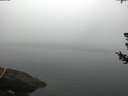 ./images/koeye/fitz-hugh/20180723/fitz-hugh20180723_060501.jpg