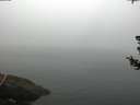 ./images/koeye/fitz-hugh/20180723/fitz-hugh20180723_062001.jpg