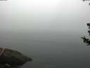 ./images/koeye/fitz-hugh/20180723/fitz-hugh20180723_062501.jpg