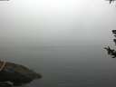 ./images/koeye/fitz-hugh/20180723/fitz-hugh20180723_063501.jpg