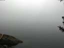 ./images/koeye/fitz-hugh/20180723/fitz-hugh20180723_064002.jpg