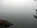 ./images/koeye/fitz-hugh/20180723/fitz-hugh20180723_064502.jpg