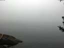./images/koeye/fitz-hugh/20180723/fitz-hugh20180723_065002.jpg