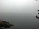 ./images/koeye/fitz-hugh/20180723/fitz-hugh20180723_065502.jpg
