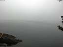 ./images/koeye/fitz-hugh/20180723/fitz-hugh20180723_070502.jpg