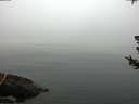 ./images/koeye/fitz-hugh/20180723/fitz-hugh20180723_071002.jpg