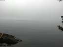 ./images/koeye/fitz-hugh/20180723/fitz-hugh20180723_071502.jpg