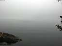 ./images/koeye/fitz-hugh/20180723/fitz-hugh20180723_072002.jpg