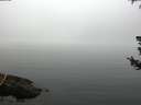 ./images/koeye/fitz-hugh/20180723/fitz-hugh20180723_073502.jpg