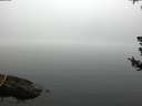 ./images/koeye/fitz-hugh/20180723/fitz-hugh20180723_074002.jpg